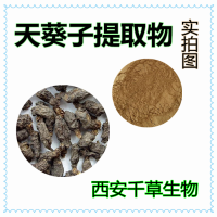 紫背天葵提取物浓缩粉浸膏粉水溶粉