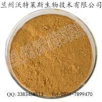 洋甘菊提取物 洋甘菊粉末 专业提取 1kg起售 量大优惠