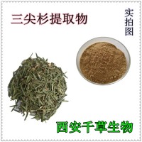 三尖杉提取物 厂家生产植物提取物定做三尖杉浓缩浸膏