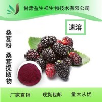 桑葚提取物    桑葚果粉