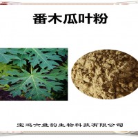 番木瓜叶浓缩粉 番木瓜叶粉 生产厂家