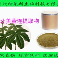 北美黄连提取物 北美黄连粉 大量库存  批发价格