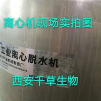 槐米提取物药食同源 厂家生产植物提取物 定做浸膏