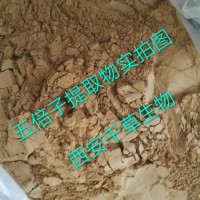 旱倍子提取物 厂家生产植物提取物定做浓缩浸膏