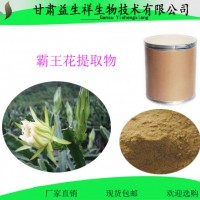 霸王花提取物 10:1 剑花 火龙果花 植物提取物