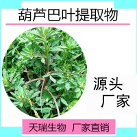 葫芦巴叶提取物 葫芦巴叶原粉厂家