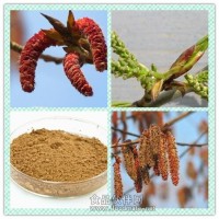 杨树花提取物 杨树花粉 杨树花素