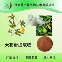 天花粉  植物原料 栝楼根 天花粉提取物 一公斤起订