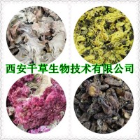 龙胆草提取物熟粉 厂家生产混合浓缩浸膏