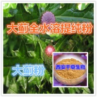 大蓟浸膏粉天然全水溶厂家生产植物提取物 定做流浸膏颗粒