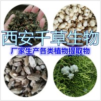 藁本提取物熟粉 厂家生产混合浓缩浸膏