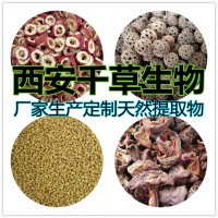 牛蒡子提取物熟粉 厂家生产混合浓缩浸膏