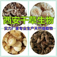 水溶性麦门冬提取物麦门冬粉 厂家供应多规格麦门冬浓缩原液