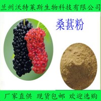 桑葚果粉99% 全水溶 桑葚果粉 桑葚粉 固体饮料