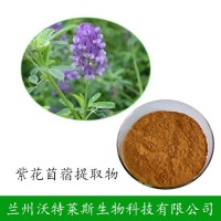 苜蓿 植物提取物 紫花苜蓿提取物 苜蓿粉