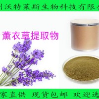 薰衣草提取物10：1 薰衣草粉 全水溶