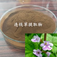 连钱草提取物 连钱草粉 黄酮供应商 连钱草浸膏粉 提取液