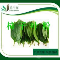 柿子叶粉  植物提取物10:1 包邮