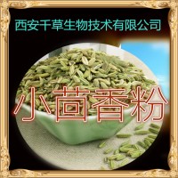 小茴香浸膏粉 厂家生产植物提取物 蘹香子流浸膏 蘹香子颗粒