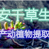 莲肉提取物厂家供应浓缩水溶粉 定做莲肉流浸膏颗粒