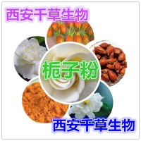 水溶性栀子浓缩粉 厂家生产提取物 栀子水溶粉 栀子流浸膏颗粒