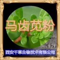 马齿苋提取物 药食同源 西安千草厂家定做马蛇子菜浸膏