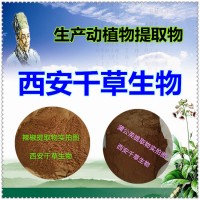 落翘提取物 厂家生产植物提取物落翘流浸膏落翘颗粒