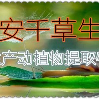 肿节风提取物厂家生产植物提取物易溶粉