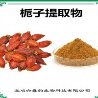 栀子提取物 栀子粉 可定制生产 药食同源