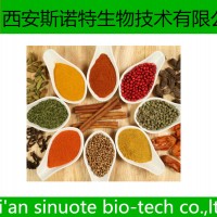 葱实提取物 葱粉 提取物 斯诺特生物