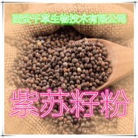 紫苏籽提取物 厂家生产天然全水溶植物提取物定做流浸膏颗粒