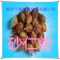 水溶性砂仁浸膏粉厂家砂仁提取物