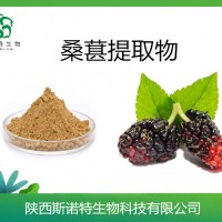 桑葚提取物   水溶性桑葚浓缩粉   斯诺特长期供应