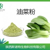 油菜粉  油菜速溶粉  喷雾干燥 油菜提取物