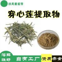 穿心莲提取物 工厂发货  穿心莲内酯 水溶性好