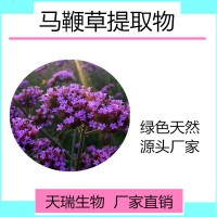 马鞭草提取物比例提取全水溶厂家现货