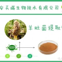 羊肚菌提取物喷雾干燥粉天瑞现货批发批发