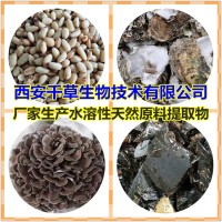 双肾子浓缩粉双肾子水溶粉 生产定做双肾子流浸膏颗粒