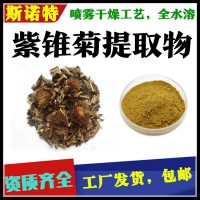 紫锥菊提取物  可开发票 工厂发货