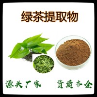 绿茶提取物 斯诺特厂家 水溶茶多酚