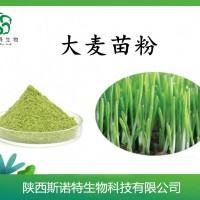 麦绿素 大麦苗粉