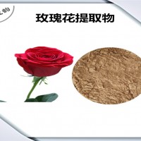 玫瑰花提取物 玫瑰花粉 可定制生产 药食同源