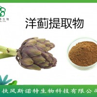 洋蓟素5%   洋蓟提取物  实力厂家供应