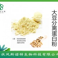 大豆分离蛋白25kg　 斯诺特实力厂家供应