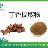 丁香提取物 丁香浸膏   药食同源原料