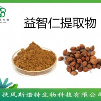 益智仁浓缩粉   益智仁浸膏   药食同源提取物