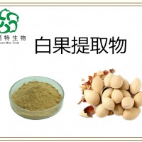 白果提取物 白果粉  药食同源系列产品