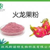 火龙果速溶粉  喷雾干燥  火龙果粉