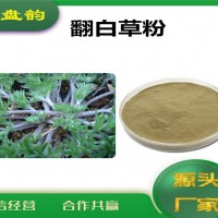 翻白草速溶粉 翻白草粉 厂家发货