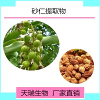 食品级砂仁提取物砂仁粉批发包邮